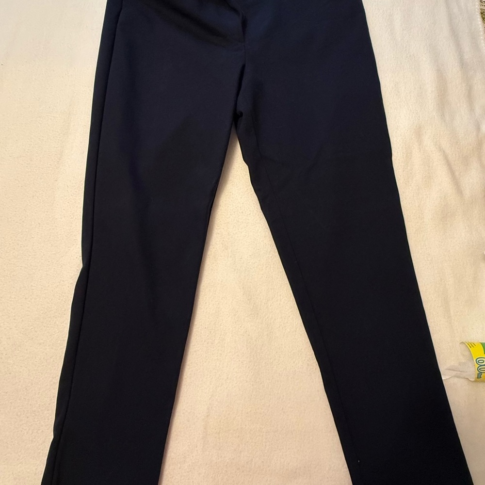 LOFT Navy Skinny Pants